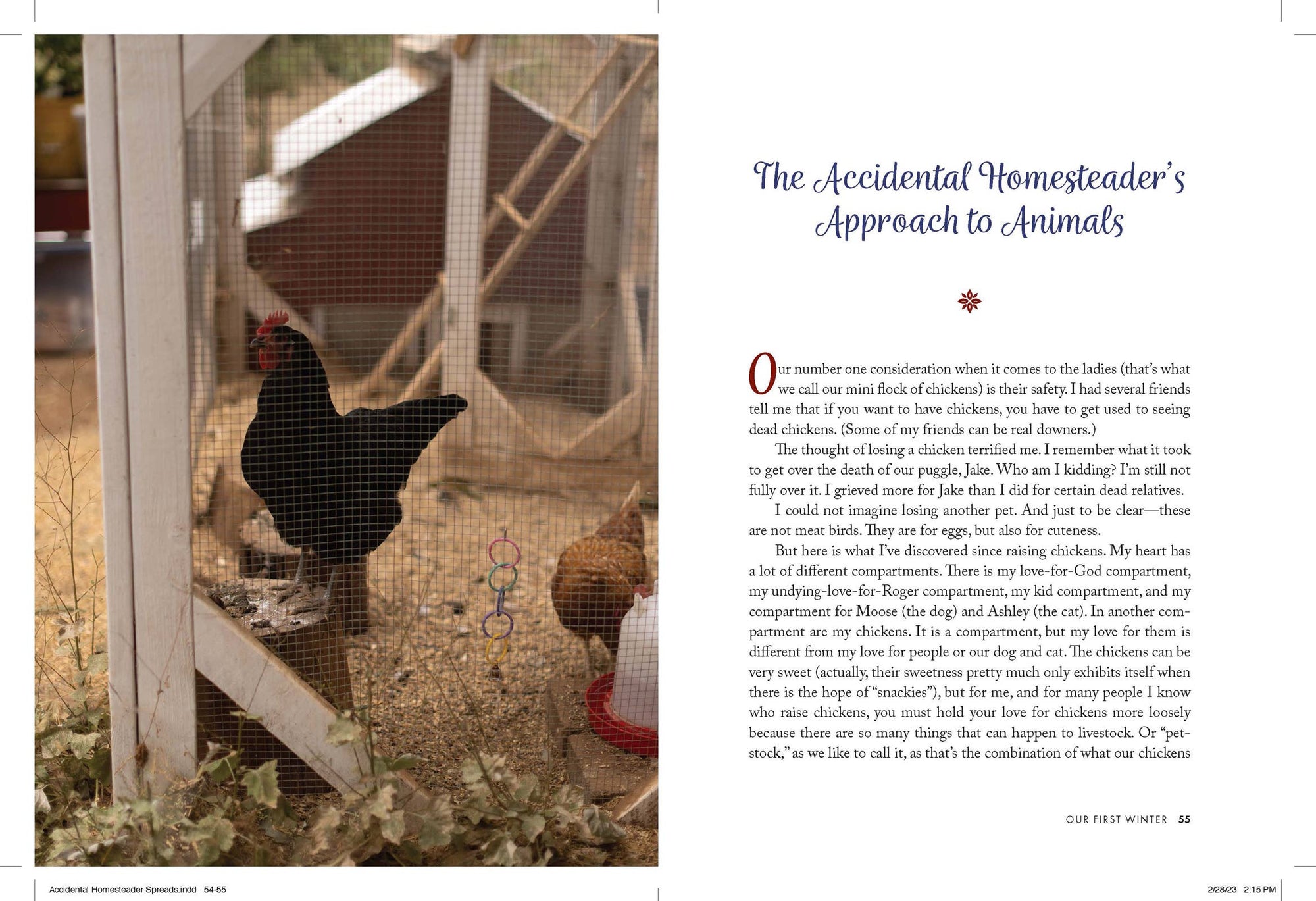 The Accidental Homesteader Book