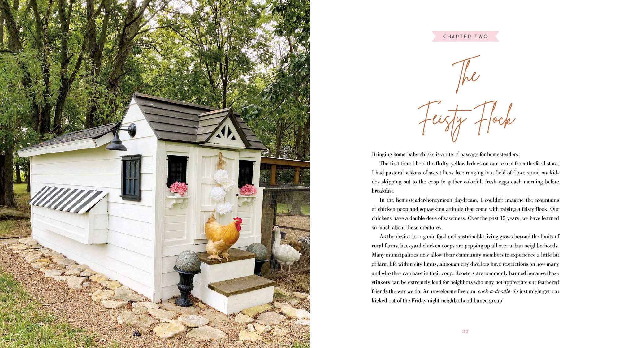 Book - The Grace-Filled Homestead