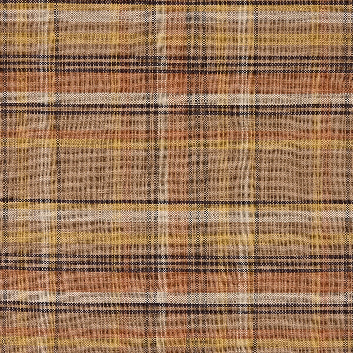 Cactus Creek Placemat