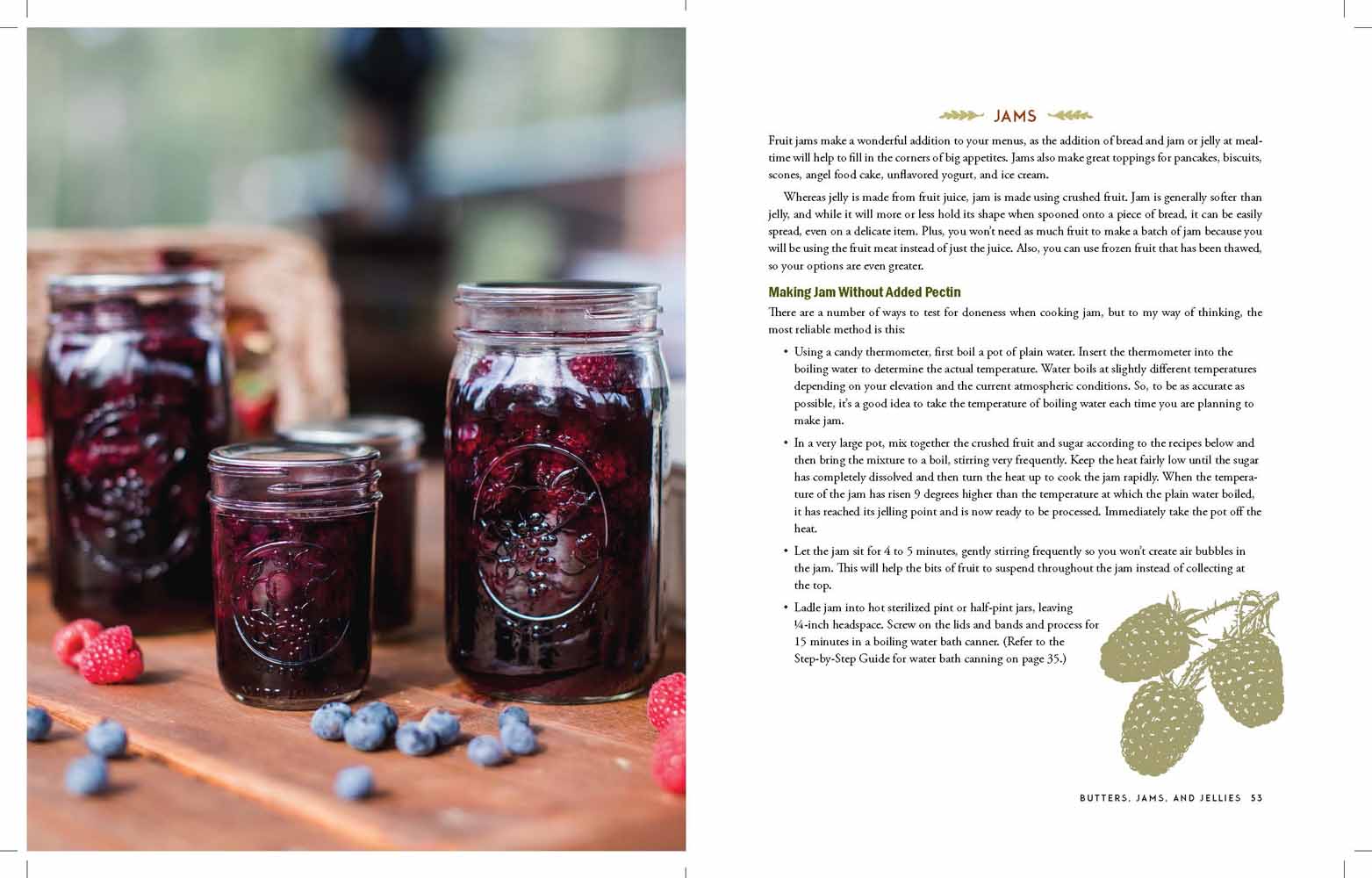 Book - The Homestead Canning Cookbook