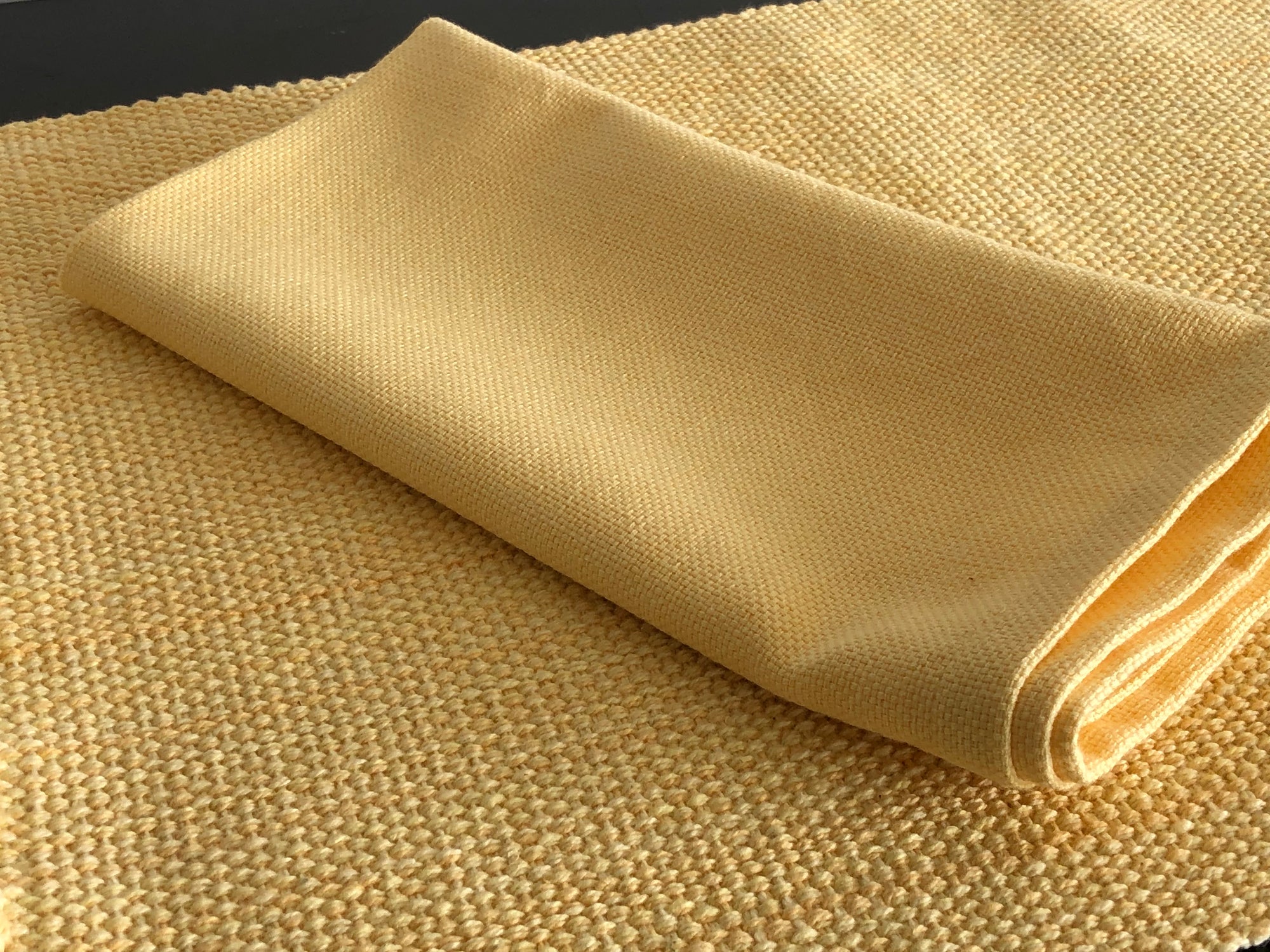 Casual Classics Butter Solid Napkins Set of 2